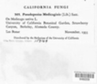 Image Associated With the Occurence
